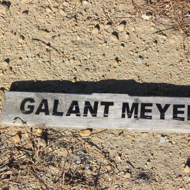 MEYER Galant