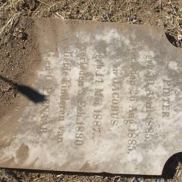 PIENAAR Pieter 1885-1885 :: PIENAAR Jacobus 1887-1890