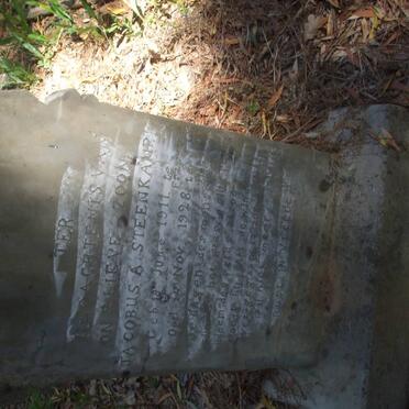 STEENKAMP Jacobus A. 1911-1928