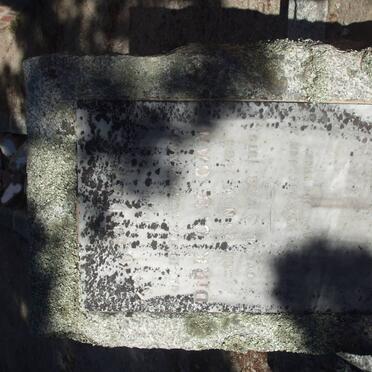 U?GAN? Dirk C. 18??-19??