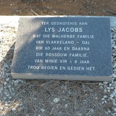 JACOBS Lys