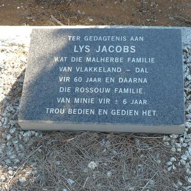 JACOBS Lys