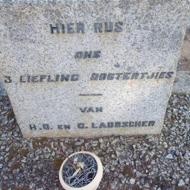 LAUBSCHER
