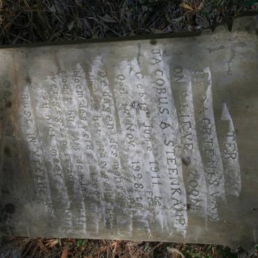 STEENKAMP Jacobus A. 1911-1928