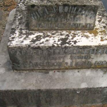 BOHLMANN Alfred ? 190?-1904