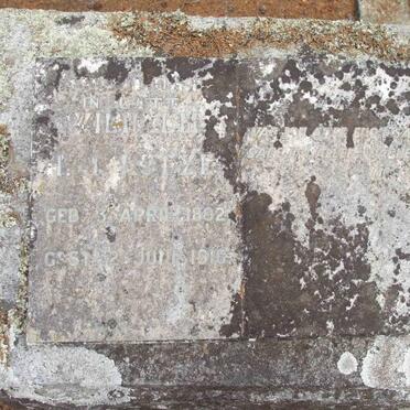 LOTZE Wilhelm H.J. 1892-1916