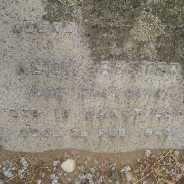 BESTER Alida nee DENYSSEN 1861-1943