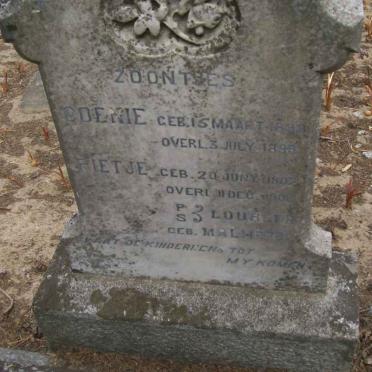 LOUBSER Coenie 1893-1895 :: LOUBSER Pietje 1902-1908