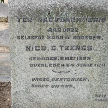 TEENGS Nico C. 1892-1911