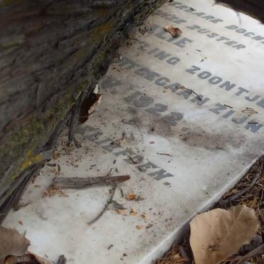 ? Dochter &amp; Zoontje