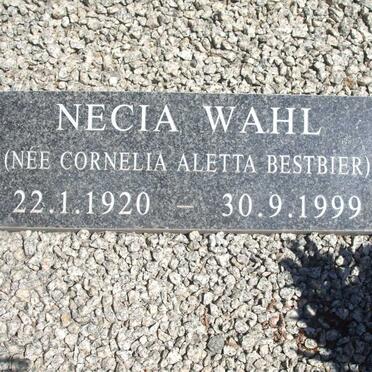 Wa-surnames