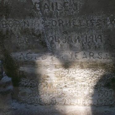 BAILEY Wilhelmina Elizabeth nee CORNELISSEN -1919 :: ? 1907-192?