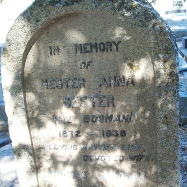 BESTER Hester Anna nee BOSMAN 1872-1938