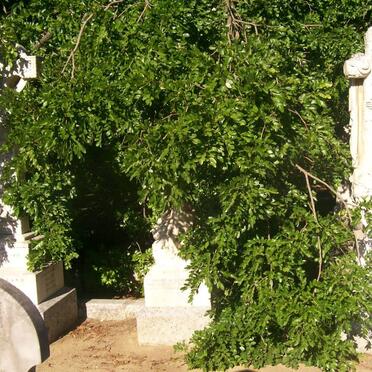 CLOETE GRAVE