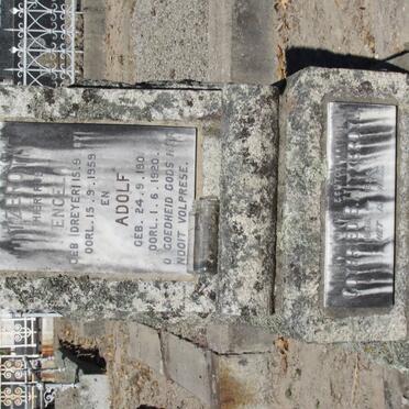 HITZEROTH Gotfried B. 1868-1924 &amp; Engela DREYER 1871-1959 :: HITZEROTH Adolf 1901-1924