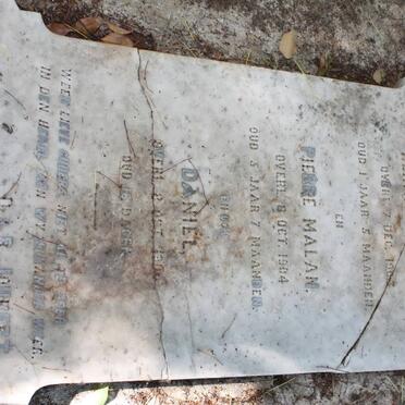 JOUBERT Pierre Malan -1904 :: JOUBERT Hermanus -1903 :: JOUBERT Daniel -1906