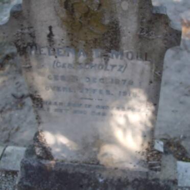 MOLL Helena T. nee SCHOLTZ 187?-1918