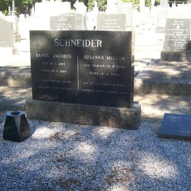 SCHNEIDER :: MARAIS