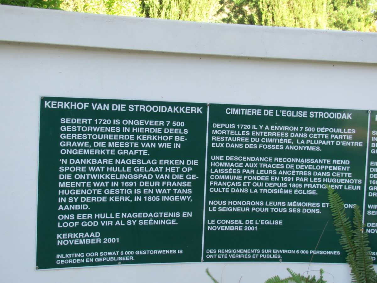 17. Plaque