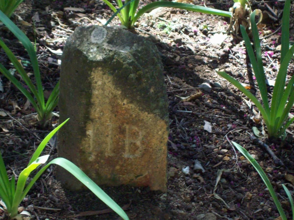 ? H.B.