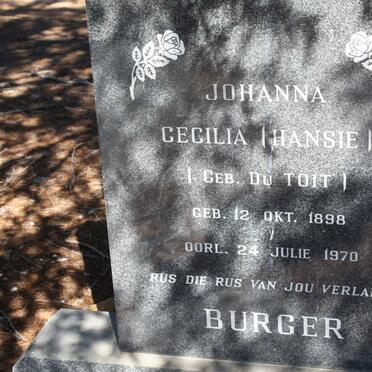 Bu - Surnames starting with the letters Bu