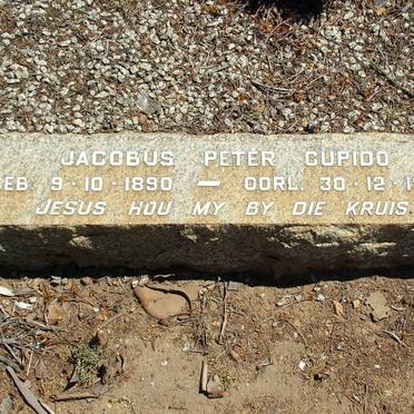 CUPIDO Jacobus Peter 1890-1960