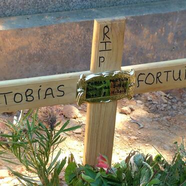 FORTUIN Tobias 1981-2010