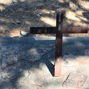 MOSTERT ? -? :: MOSTERT Aba -?