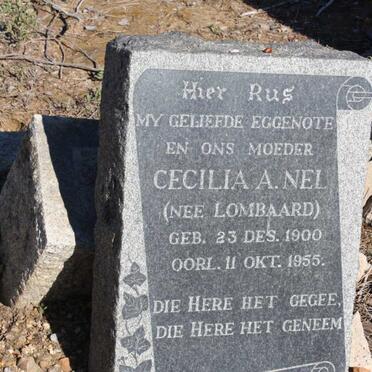 NEL Cecilia A. nee LOMBAARD 1900-1955