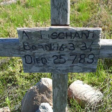 FISCHANI A.  1?34-1?88