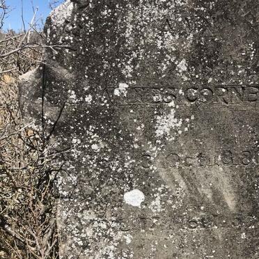 ? Johannes Cornel? 1888-