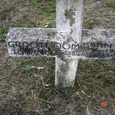 GROOTBOOM Johana 1965-1967