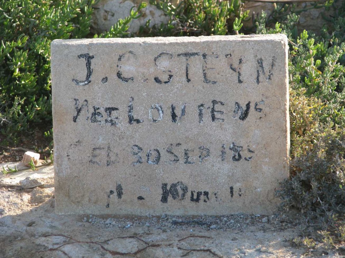 STEYN J.C.