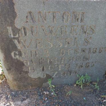 WESSELS Antoni Louwrens 1884-1885