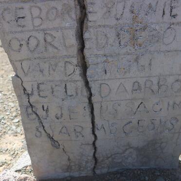 VELDTMAN Joyce Lynne Rose 1959-1961 