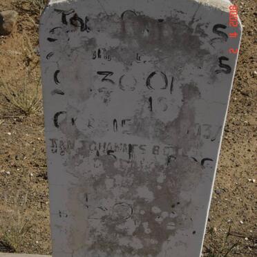 BOTES Jan Johannes 1888-1937