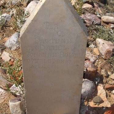 ROUSSOUW Daniel Johannes -1891