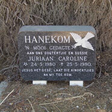 HANEKOM Juriaan Caroline 1980-1980