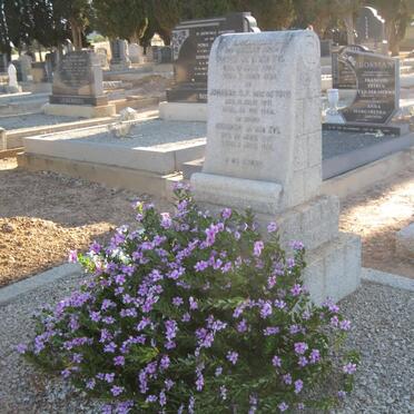 ZYL Pieter de V., van 1864-1936 &amp; Johanna C.P. DU TOIT 1871-1946 :: VAN ZYL Abraham 1890-1931