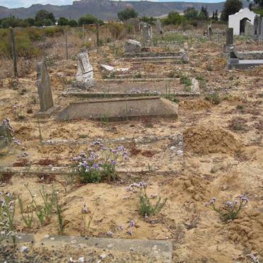 5. Overview