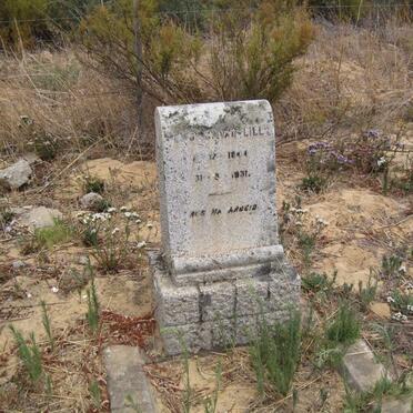 LILL E.S.G., van 1844-1931