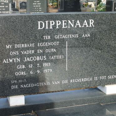 DIPPENAAR Alwyn Jacobus 1913-1979