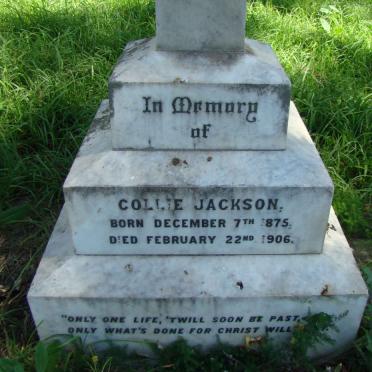 JACKSON Collie 1875-1906 