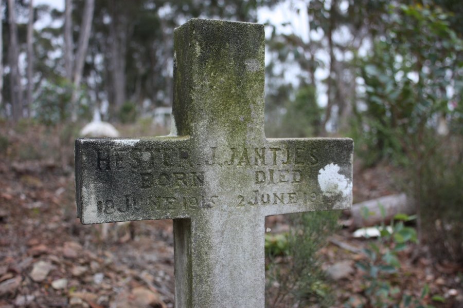 JANTJIES Hester J. 1915-19?