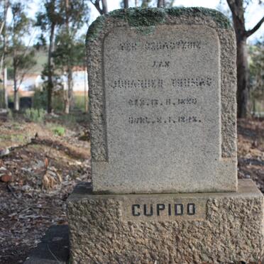CUPIDO