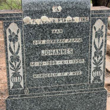 STEYN Johannes 1909-1950