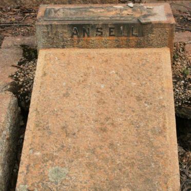 ANSELL