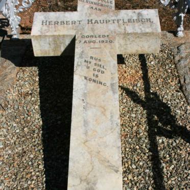 HAUPTFLEISCH Herbert -1920