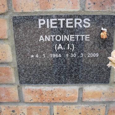 PIETERS A.I. 1964-2009