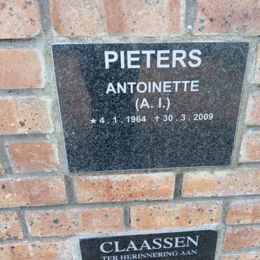 PIETERS Antoinette A.I. 1964-2009